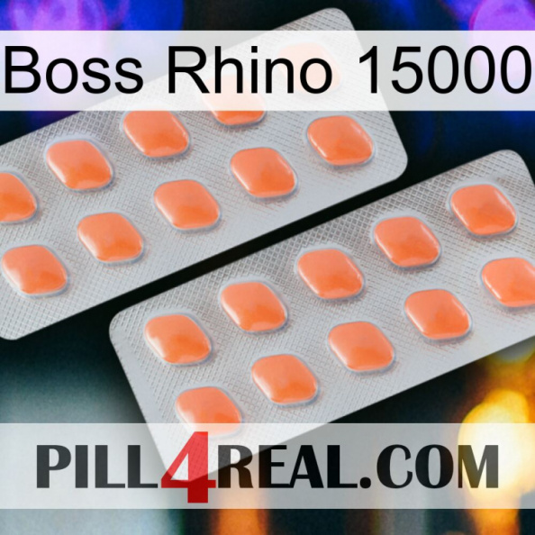 Boss Rhino 15000 27.jpg